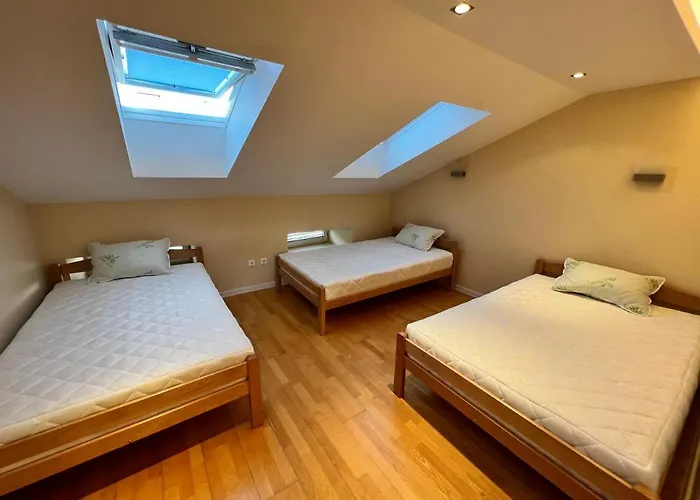 Joy 招待所 塞拉耶佛